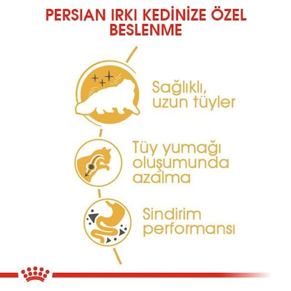 Royal Canin Persian Adult Kedi Maması 2 Kg