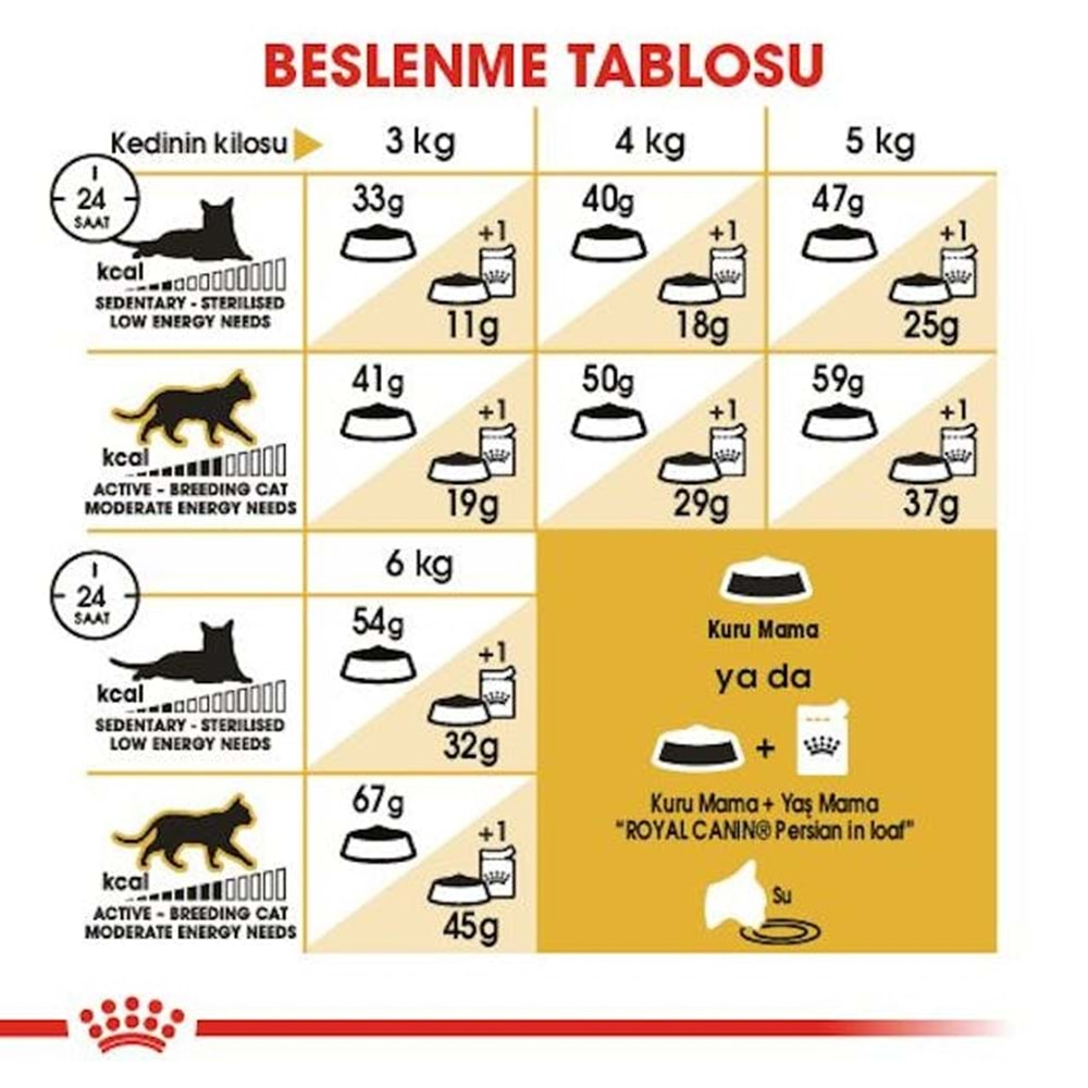 Royal Canin Persian Adult Kedi Maması 2 Kg