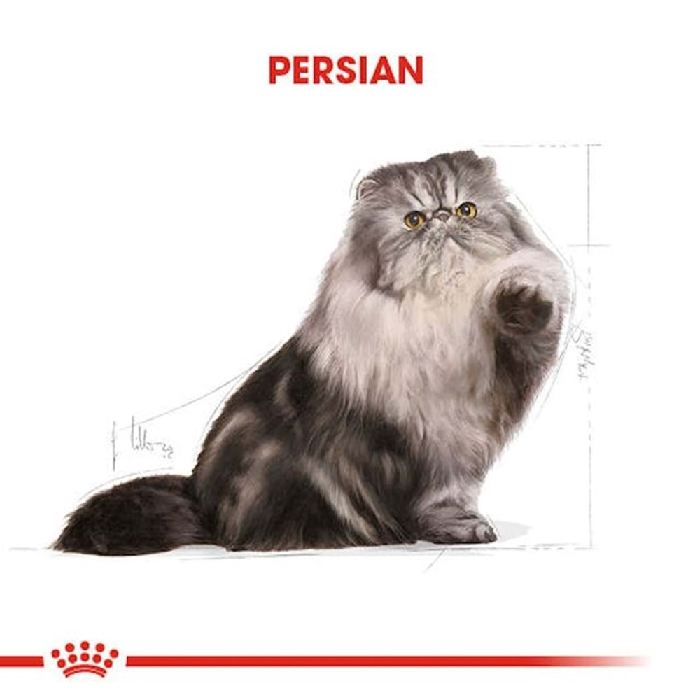 Royal Canin Persian Adult Kedi Maması 2 Kg