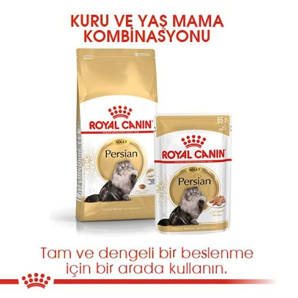 Royal Canin Persian Adult Kedi Maması 1 Kg