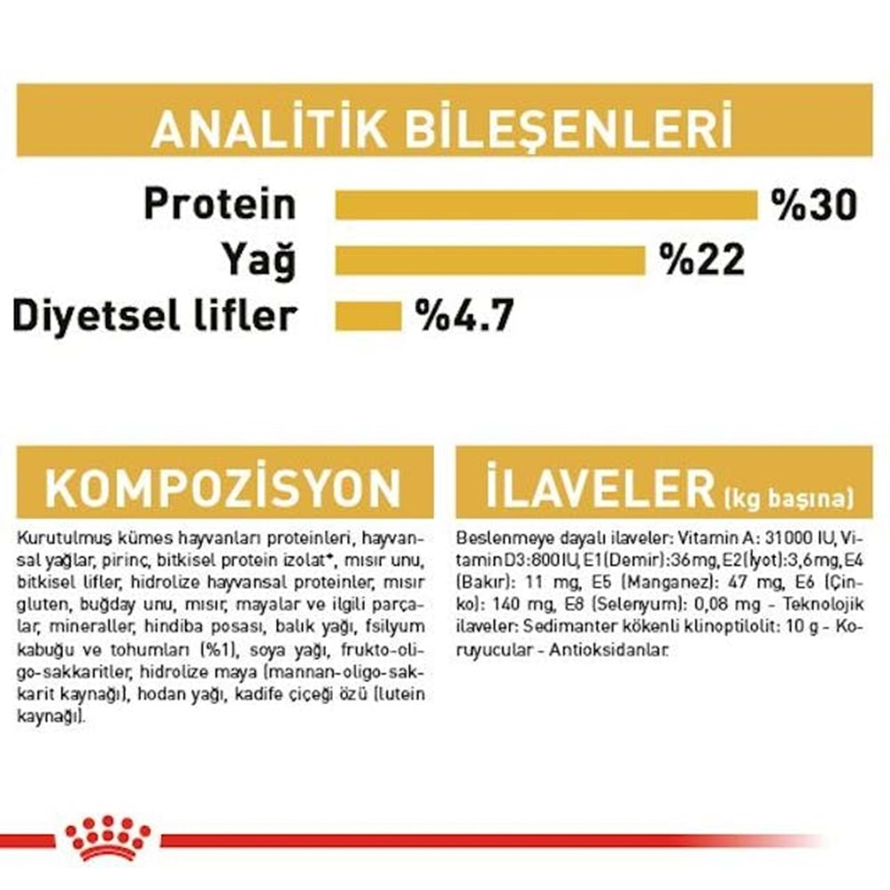 Royal Canin Persian Adult Kedi Maması 1 Kg