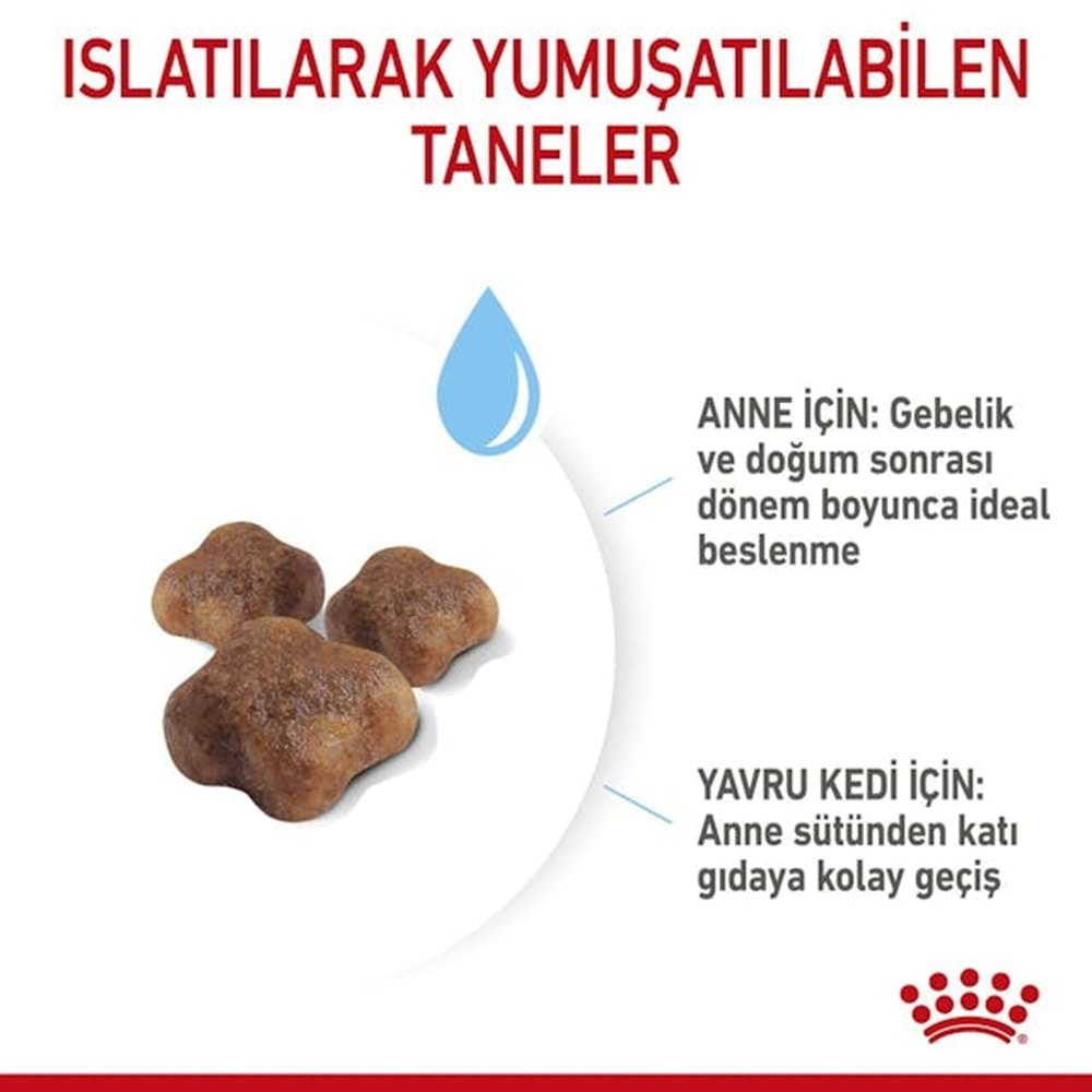 Royal Canin Mother&Babycat Kedi Maması 400 Gr