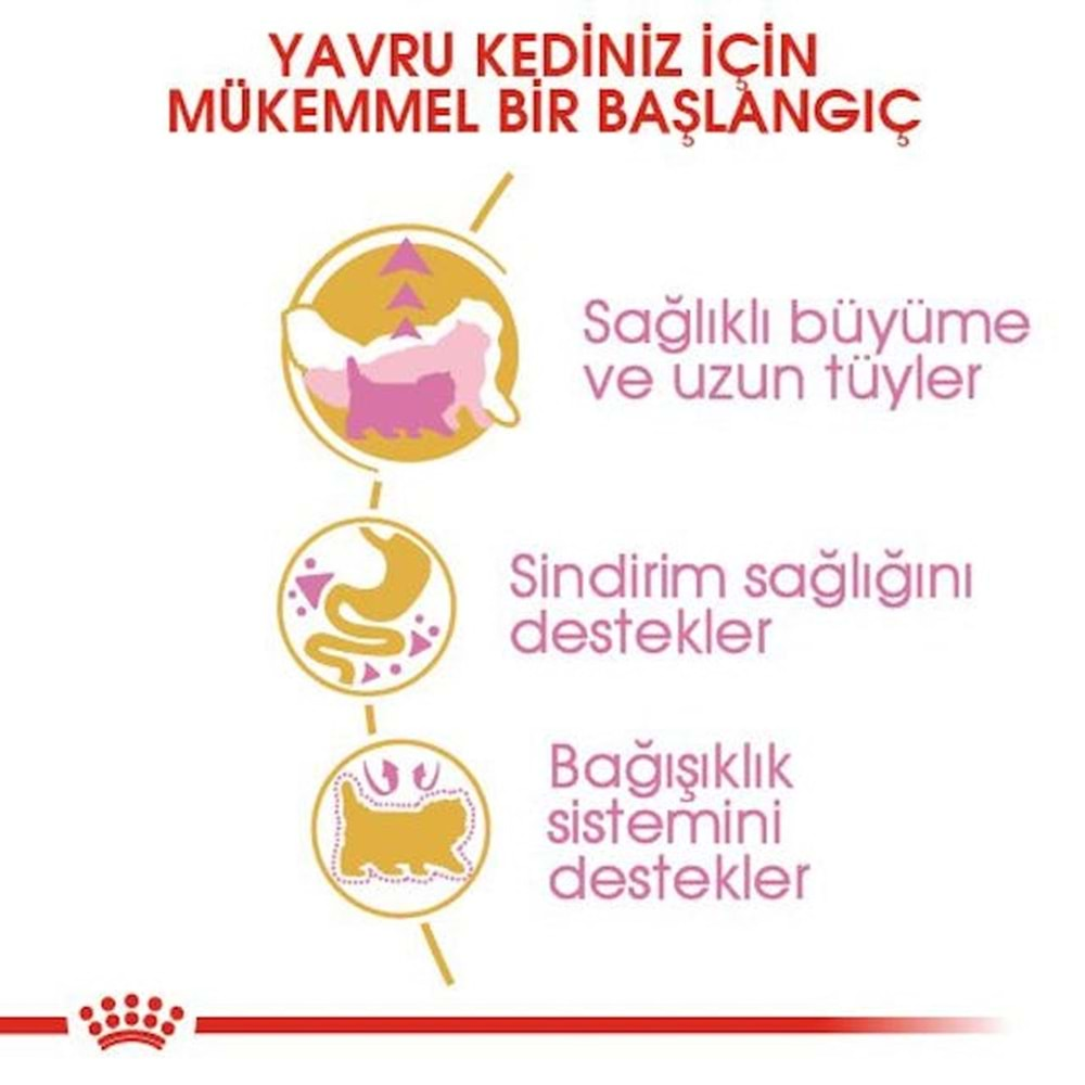 Royal Canin Persian Kitten Kedi Maması 2 Kg