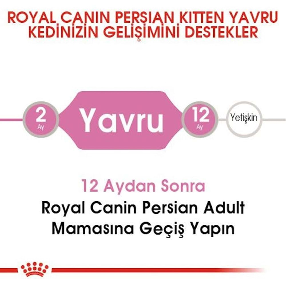 Royal Canin Persian Kitten Kedi Maması 2 Kg