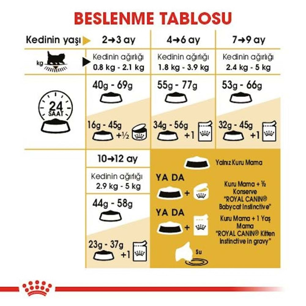 Royal Canin Persian Kitten Kedi Maması 2 Kg