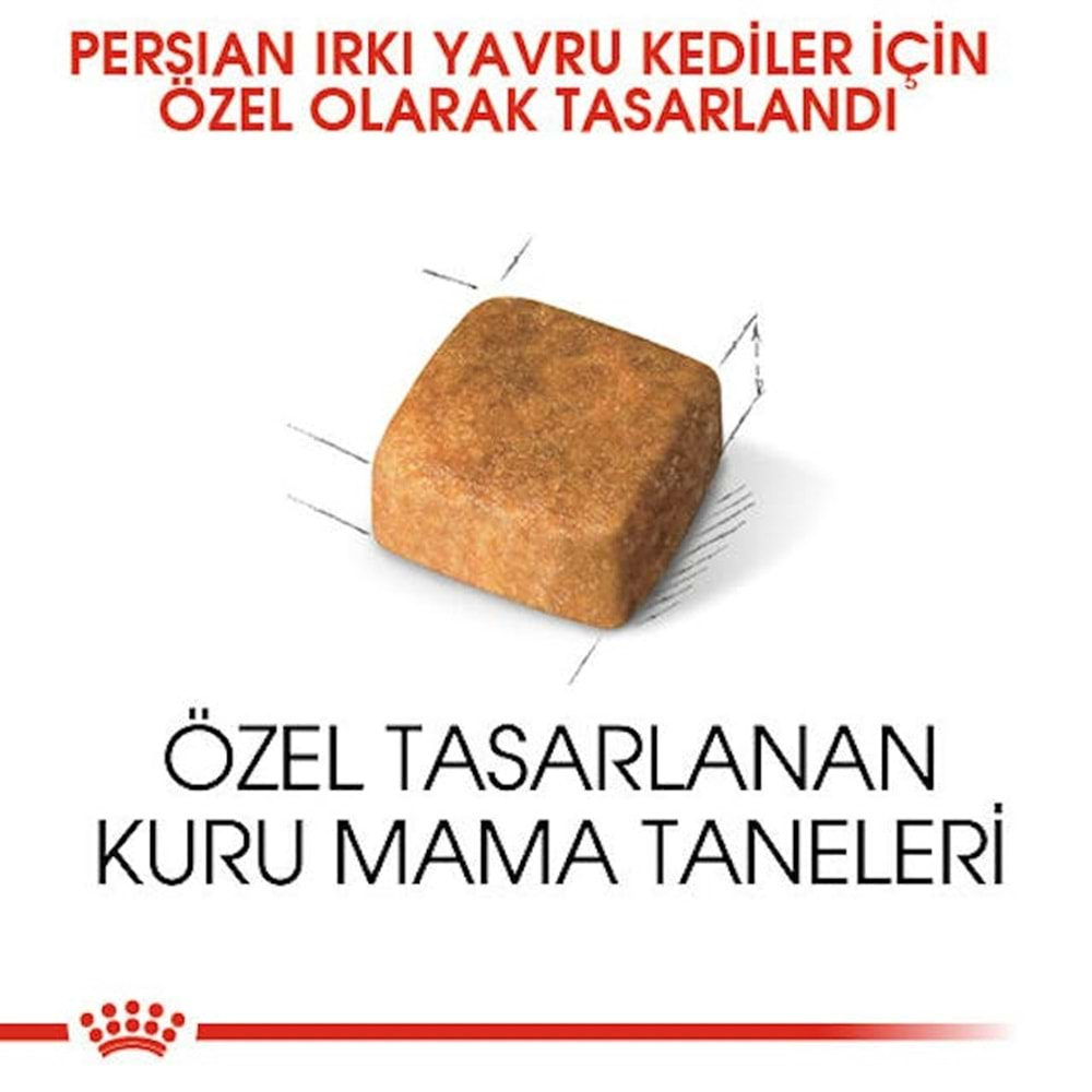 Royal Canin Persian Kitten Kedi Maması 2 Kg