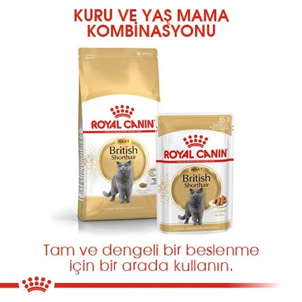 Royal Canin British Shorthair Kedi Maması 2 Kg