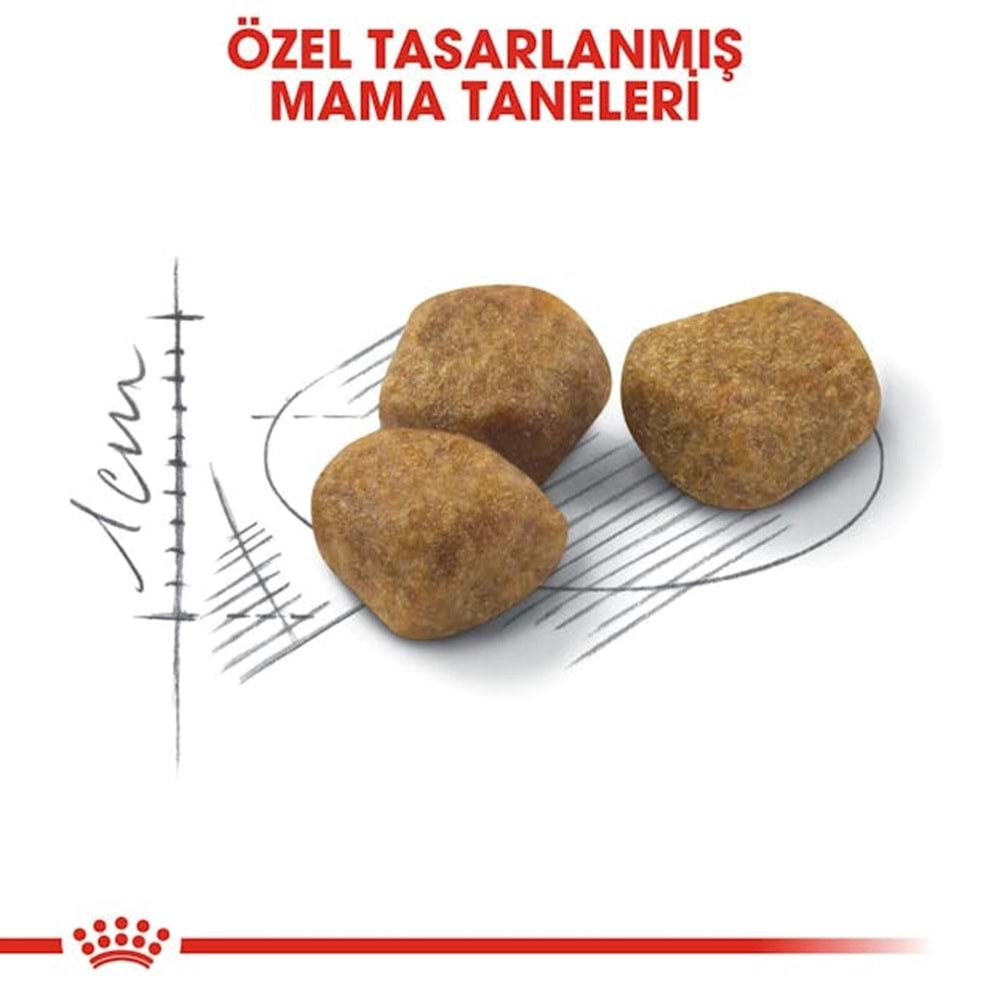 Royal Canin Indoor +7 Kedi Maması 1.5 Kg