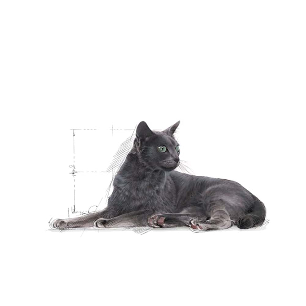 Royal Canin Sterilised +7 Kısırlaştırılmış Kedi Maması 3,5 Kg