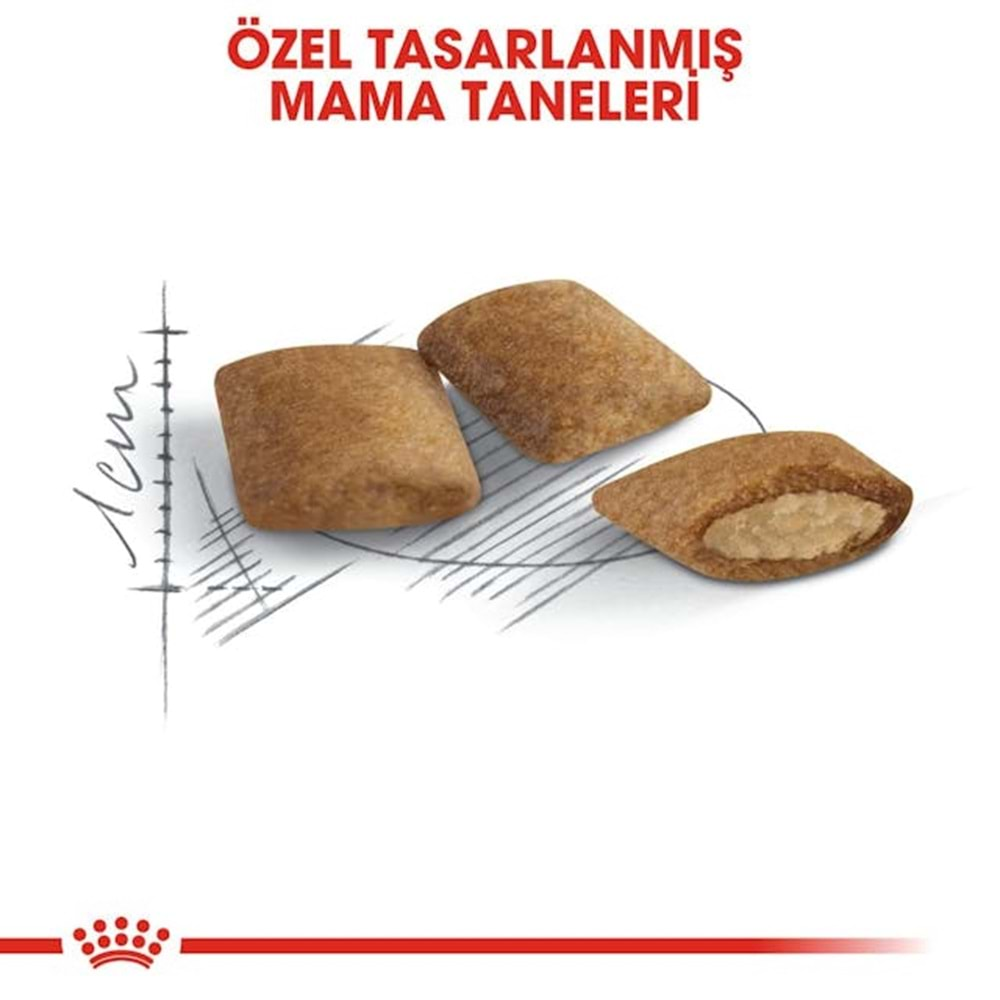 Royal Canin Ageing +12 Kedi Maması 2 Kg