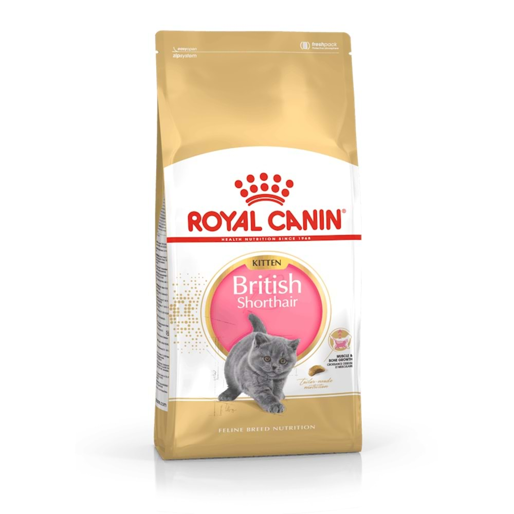 Royal Canin British Shorthair Kitten Kedi Maması 2 Kg