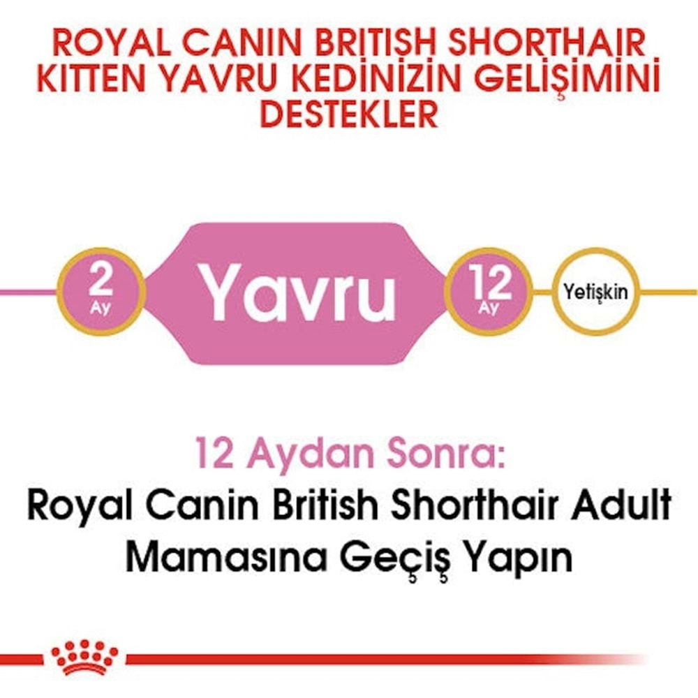 Royal Canin British Shorthair Kitten Kedi Maması 2 Kg