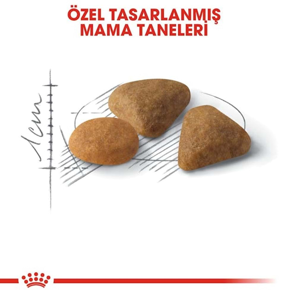 Royal Canin Savour Exigent Kedi Maması 500 Gr.