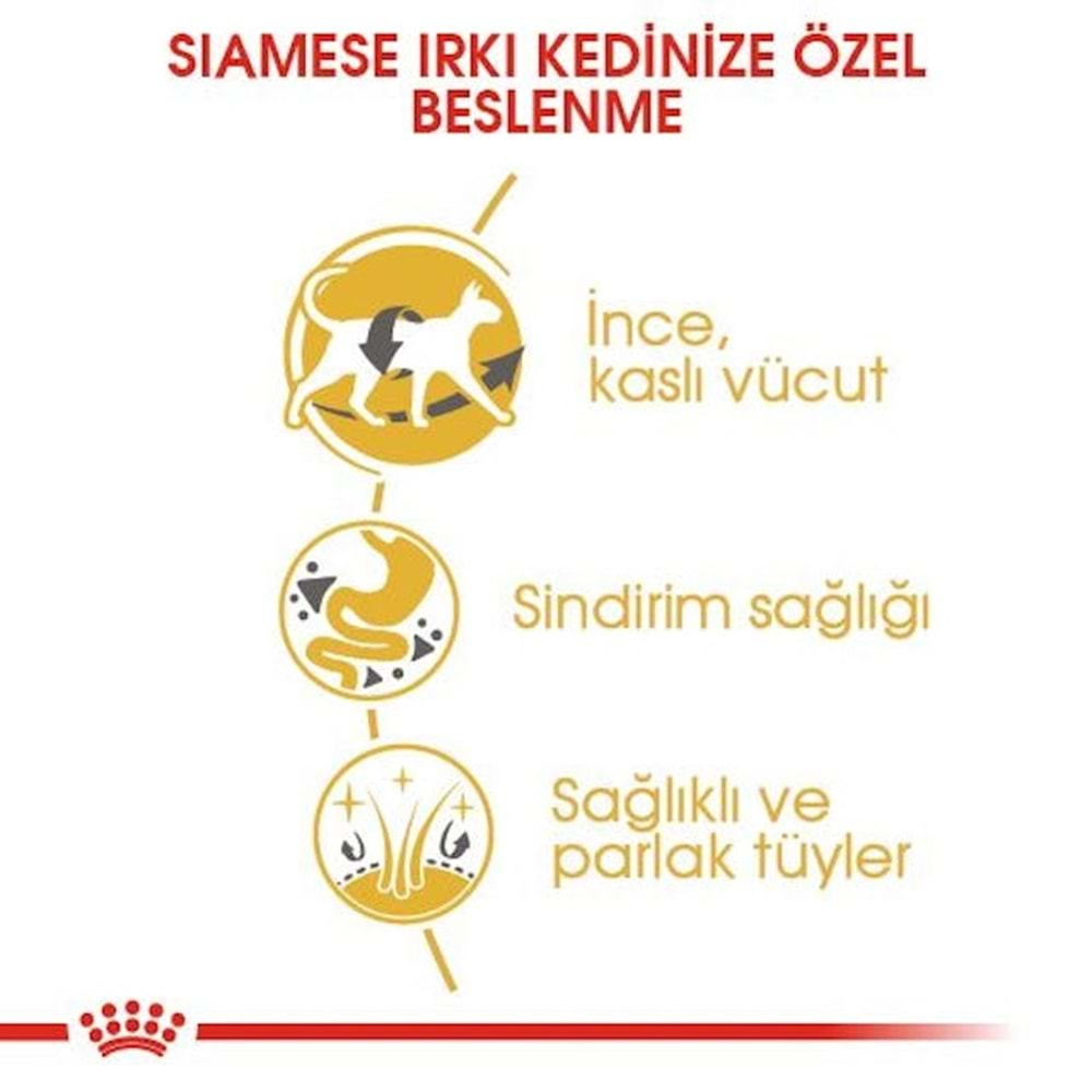 Royal Canin Siamese Kedi Maması 2 Kg