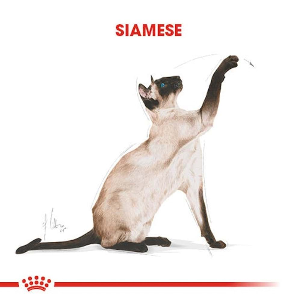 Royal Canin Siamese Kedi Maması 2 Kg