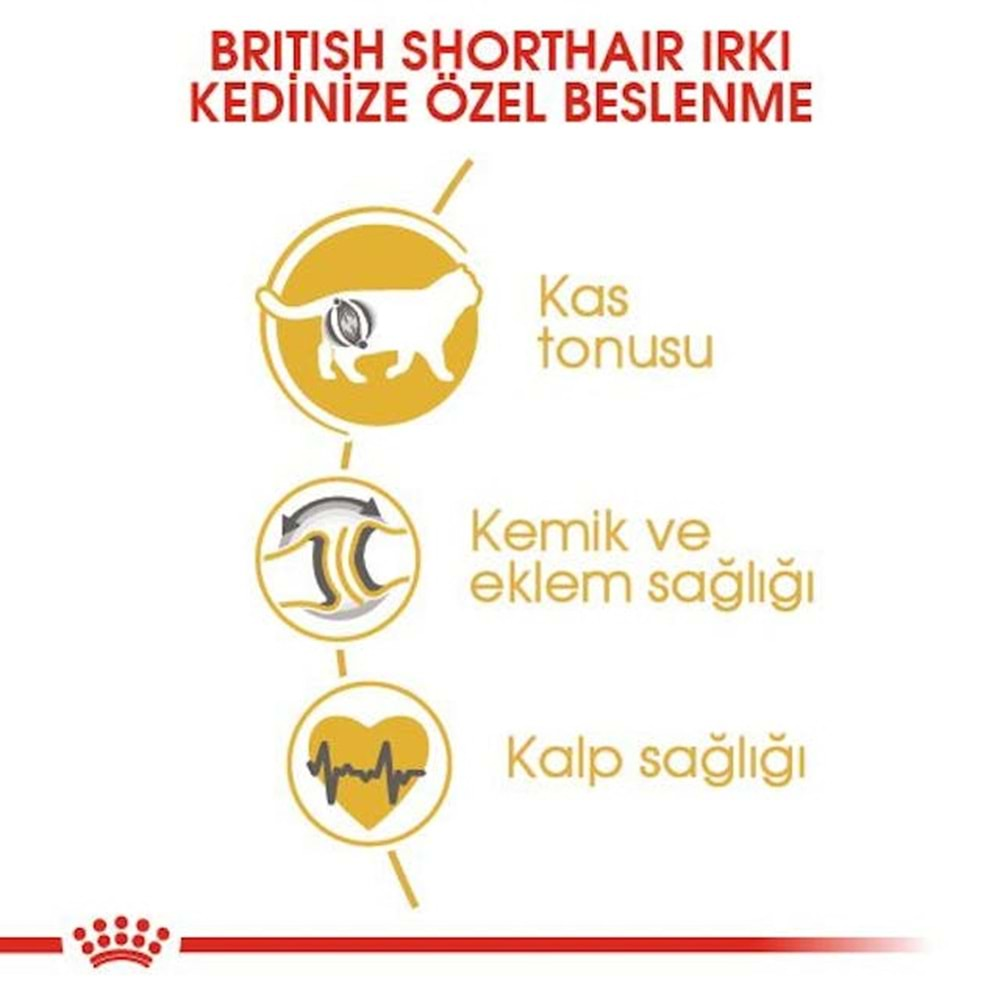 Royal Canin British Shorthair Adult Kedi Maması 10 Kg