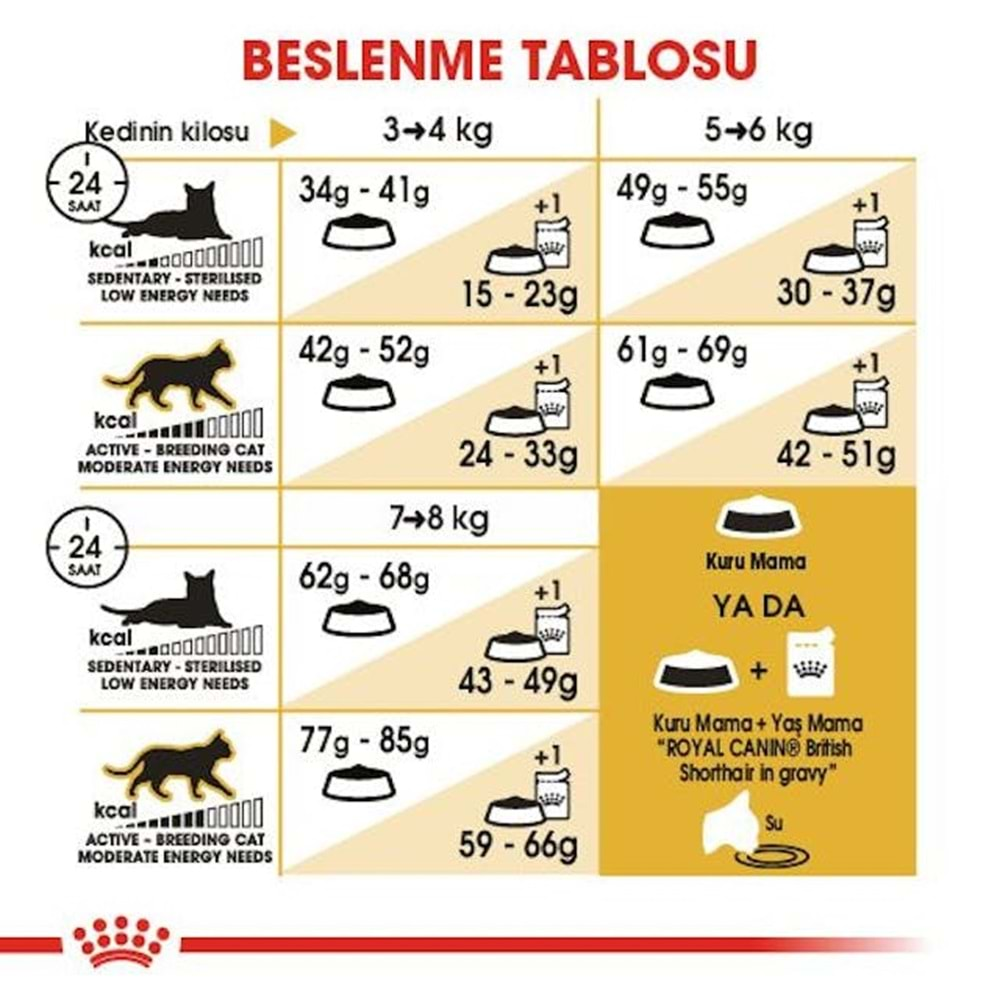 Royal Canin British Shorthair Adult Kedi Maması 10 Kg