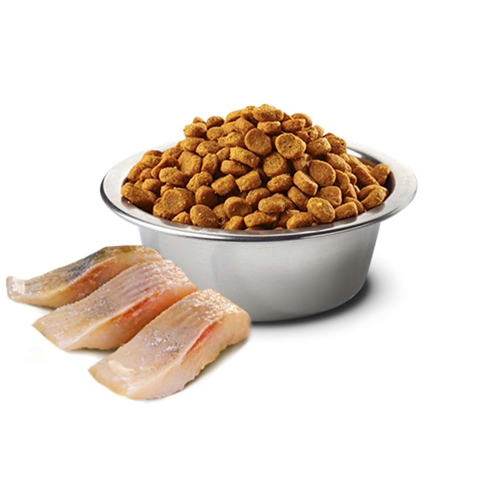 N&D Ocean Tahılsız Sterilised Kedi Maması 1,5 Kg (Ringa Balığı&Portakal)