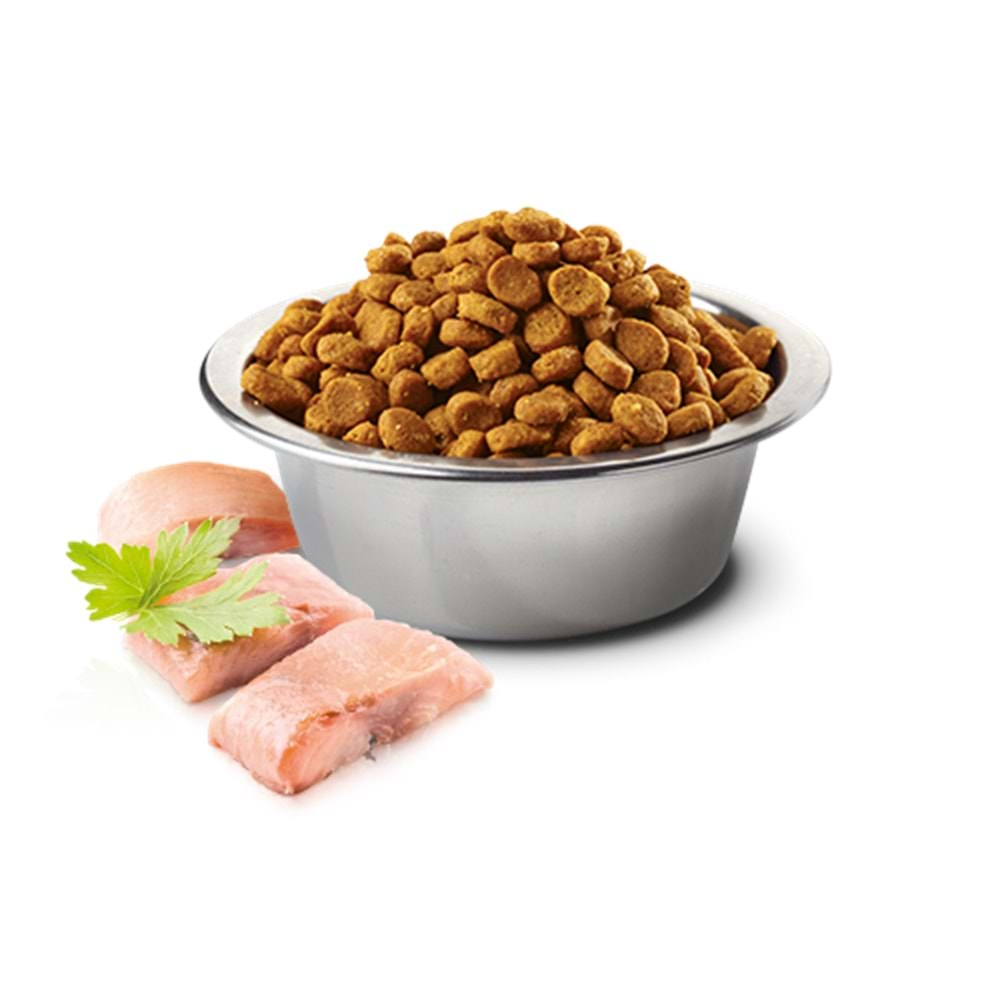 N&D Ocean Tahılsız S/Mini Adult Köpek Maması 2.5 Kg (Ringa Balığı&Portakal)