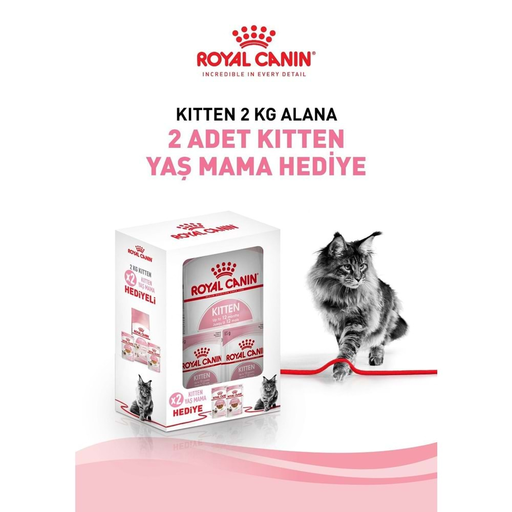 Royal Canin Kitten 2kg+ Kitten Pounch 100gr