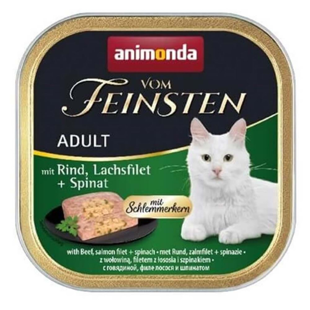 Animonda Wom Feinsten Gourmet Adult Konserve 100 Gr. (Sığır-Somon)