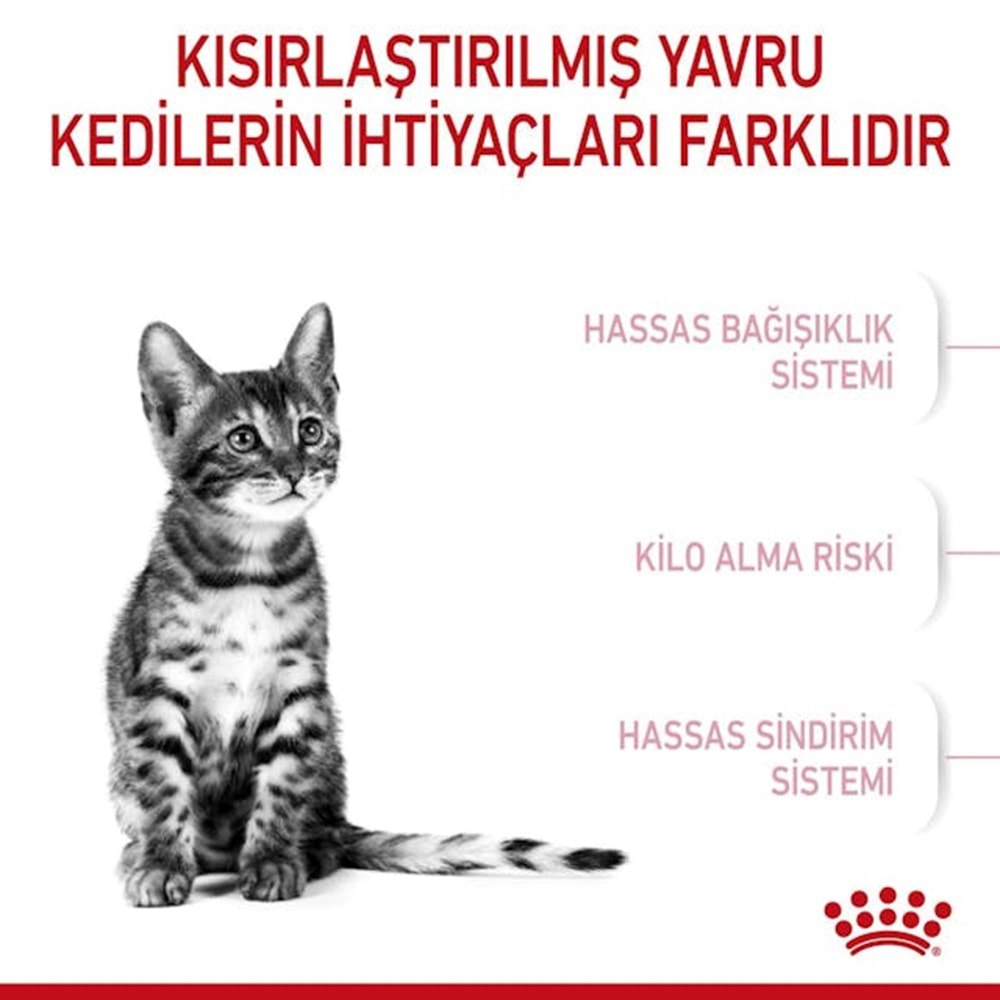 Royal Canin Kitten Sterilised Kedi Maması 2 Kg