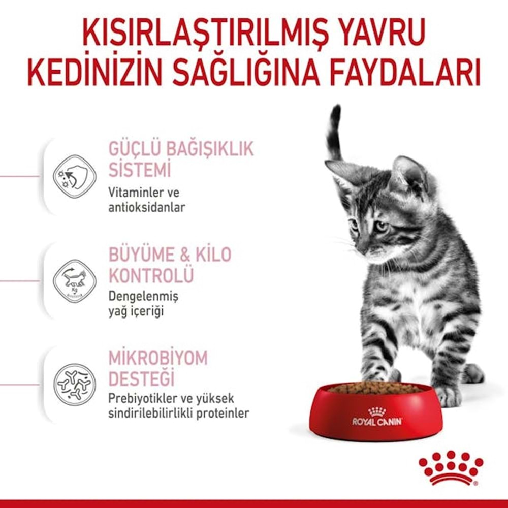 Royal Canin Kitten Sterilised Kedi Maması 2 Kg