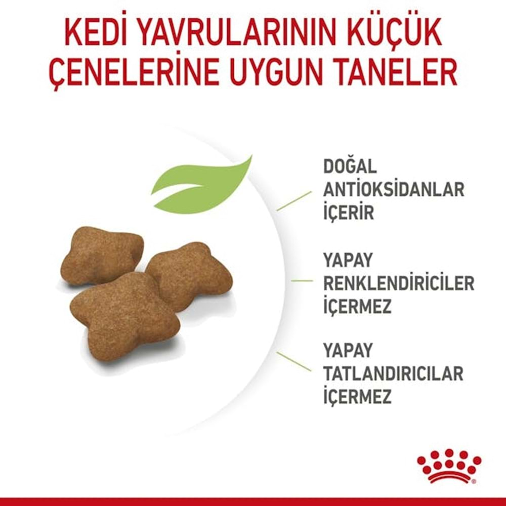 Royal Canin Kitten Sterilised Kedi Maması 2 Kg