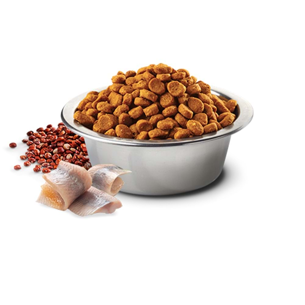 N&D Quinoa Skin&Coat Ringa Balıklı Kinoalı Hindistan Cevizli Yetişkin Kedi Maması 5kg