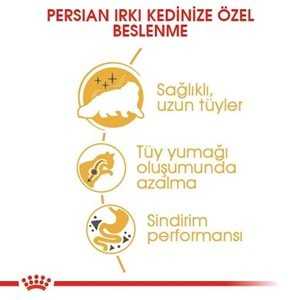 Royal Canin Persian Adult Kedi Maması 2 Kg