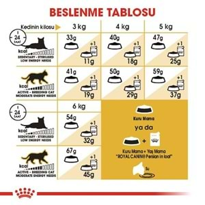 Royal Canin Persian Adult Kedi Maması 2 Kg