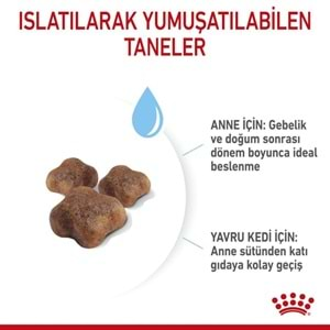 Royal Canin Mother&Babycat Kedi Maması 2 Kg