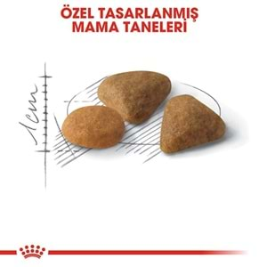 Royal Canin Savour Exigent Kedi Maması 2 Kg