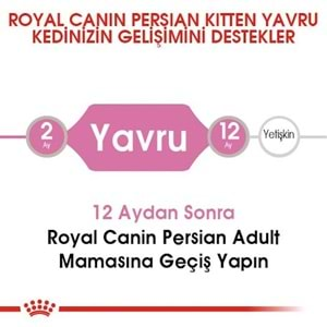 Royal Canin Persian Kitten Kedi Maması 2 Kg