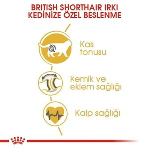 Royal Canin British Shorthair Kedi Maması 2 Kg