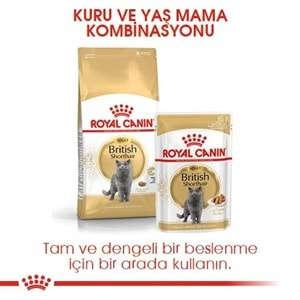 Royal Canin British Shorthair Kedi Maması 2 Kg