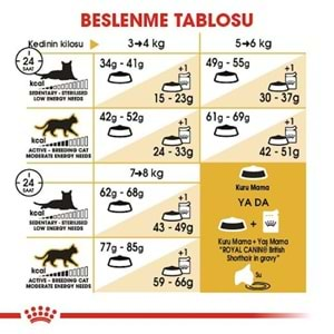 Royal Canin British Shorthair Kedi Maması 2 Kg