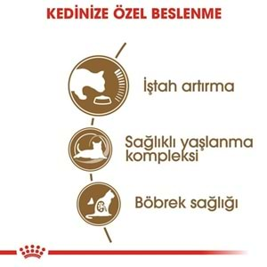 Royal Canin Ageing +12 Kedi Maması 2 Kg