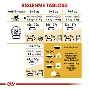 Royal Canin British Shorthair Kitten Kedi Maması 2 Kg