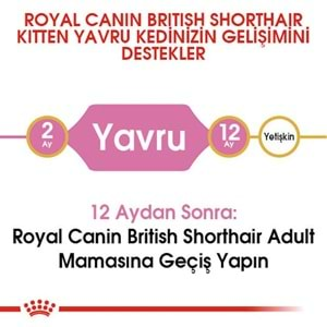 Royal Canin British Shorthair Kitten Kedi Maması 2 Kg