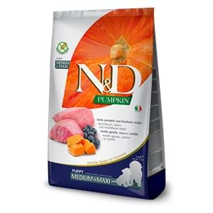 N&D Balkabaklı M/Maxi Puppy Köpek Maması 12 Kg (Kuzu&Yaban Mersini)