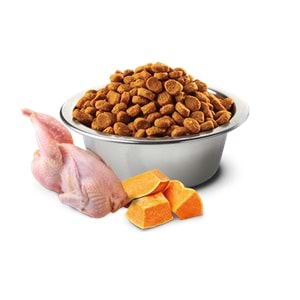 N&D Balkabaklı Adult Kedi Maması 1.5 Kg (Bıldırcın&Nar)