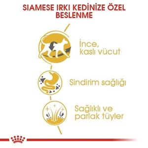 Royal Canin Siamese Kedi Maması 2 Kg