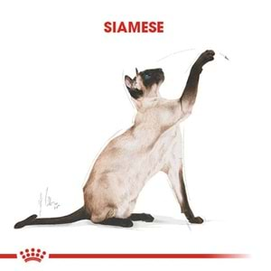 Royal Canin Siamese Kedi Maması 2 Kg