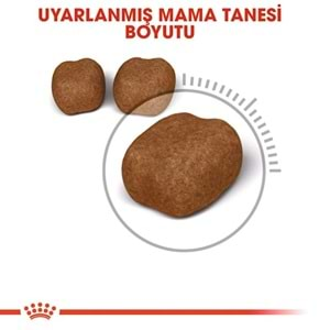 Royal Canin Oral Care Ağız ve Diş Sağlığı için Yetişkin Kedi Maması 1,5kg