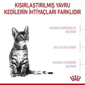 Royal Canin Kitten Sterilised Kedi Maması 2 Kg