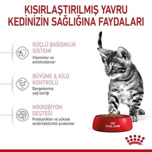 Royal Canin Kitten Sterilised Kedi Maması 2 Kg