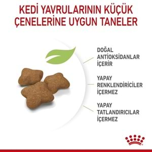 Royal Canin Kitten Sterilised Kedi Maması 2 Kg