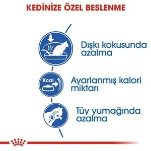 Royal Canin Indoor Ev Kedileri İçin Kedi Maması 2 Kg