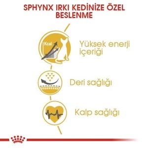 Royal Canin Sphynx Adult Kedi Maması 2 Kg